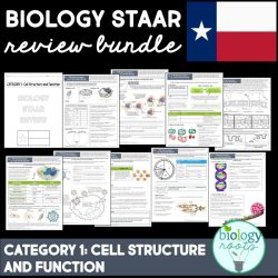 Biology eoc review packet answer key