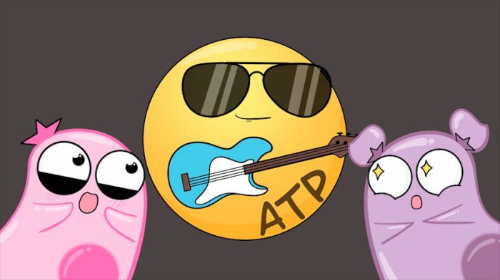 Amoeba sisters atp answer key