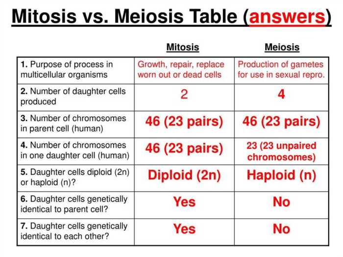 Meiosis internet lesson answer key pdf