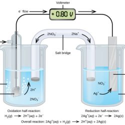 Electrolysis copper ii using anode