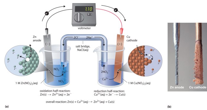 Describe the electrodes in this tin copper galvanic cell