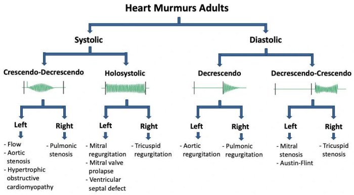 Evaluation valvular suspected disease heart