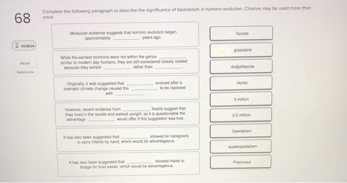 Which of the following statements describing hominin evolution is/are correct