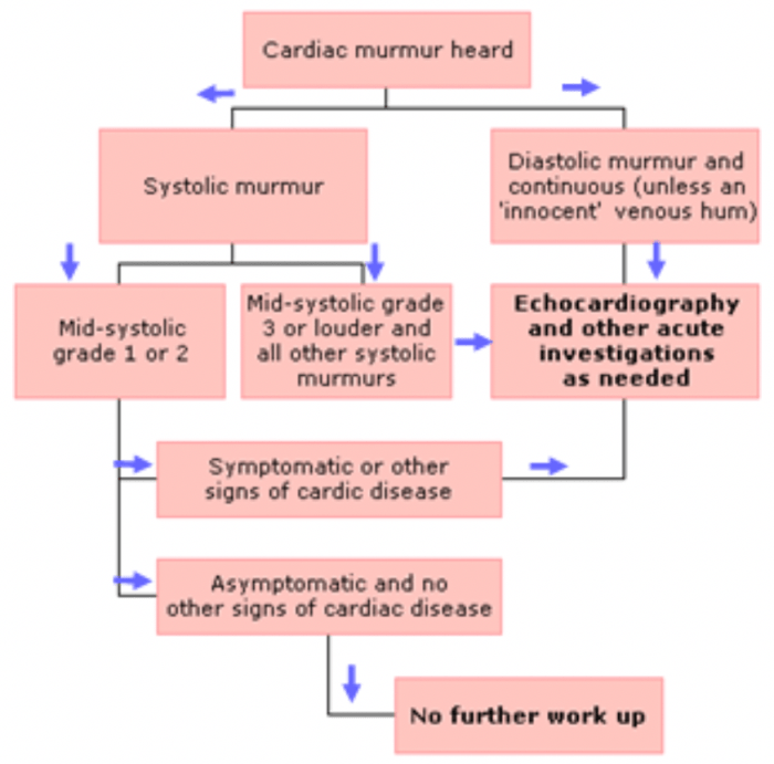 Match the description of the murmur to the valvular lesion