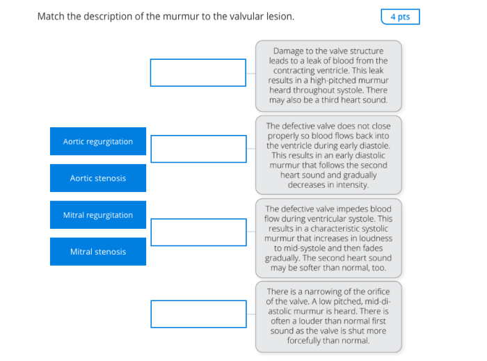 Match the description of the murmur to the valvular lesion