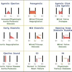 Match the description of the murmur to the valvular lesion