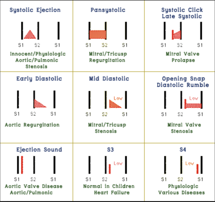 Match the description of the murmur to the valvular lesion